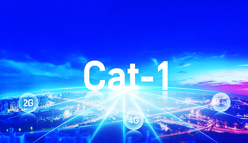 25.png 25.png